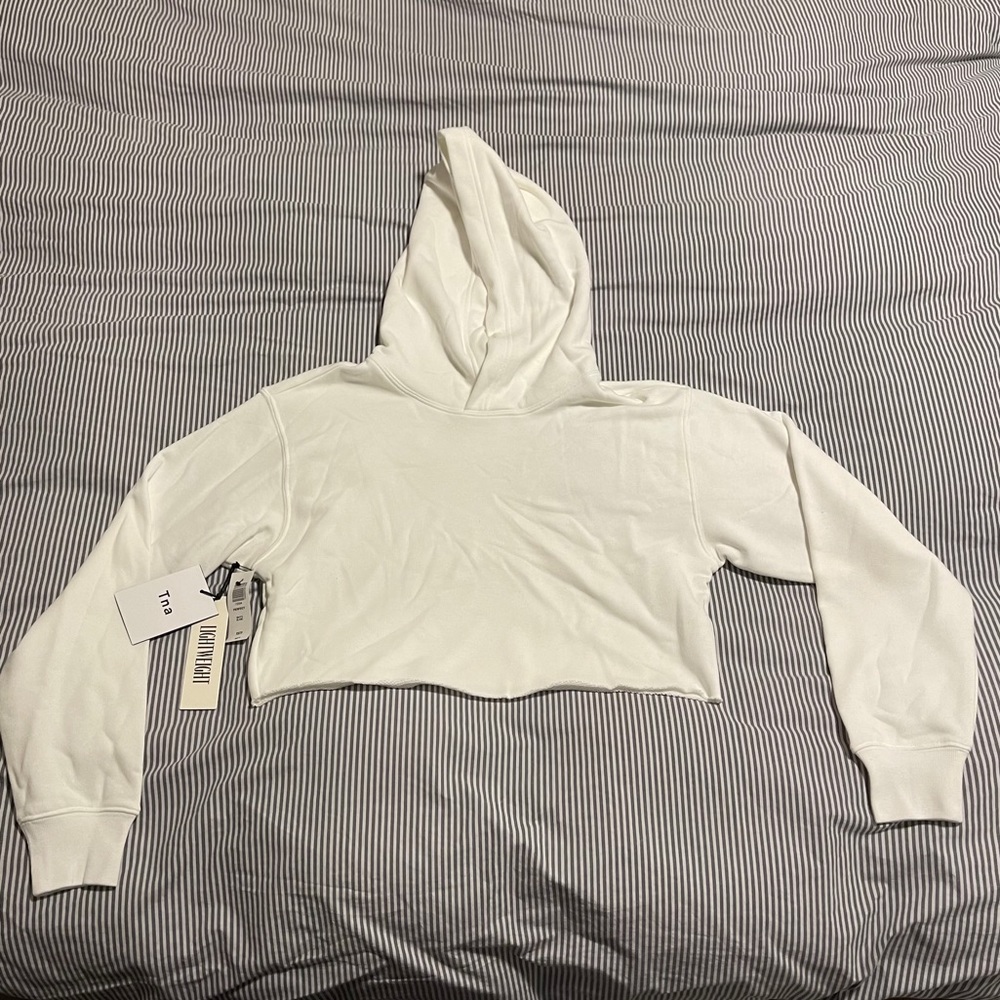 ARITZIA TNA The Perfect Crop Hoodie Lightweight